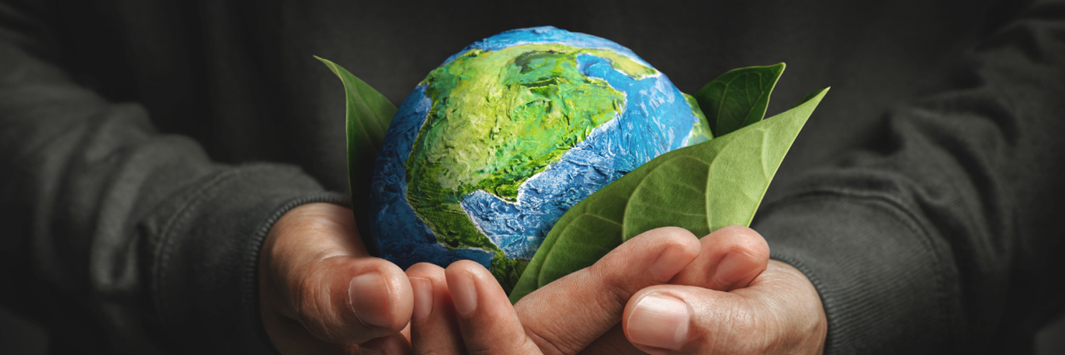 Sustainability